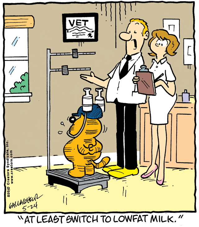 heathcliff